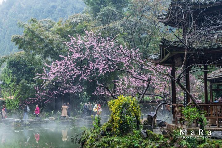 綦听丨别忘了，身体是革命的本钱