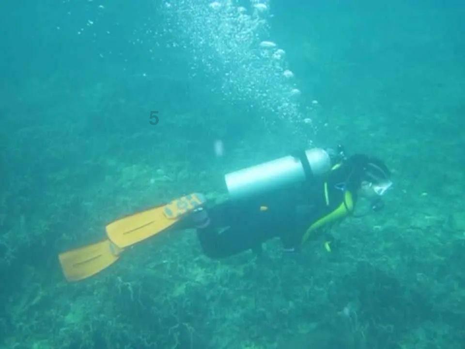 当流感病毒来袭时，糖尿病患者更容易成为其“攻击目标”